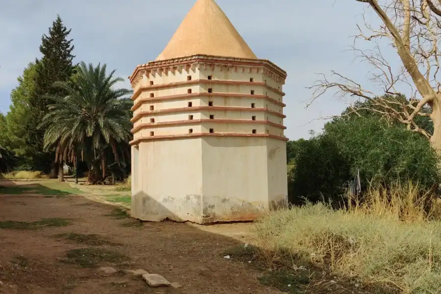 🕓Laghouat: Desert& Heritage Tour with Meals& Guide