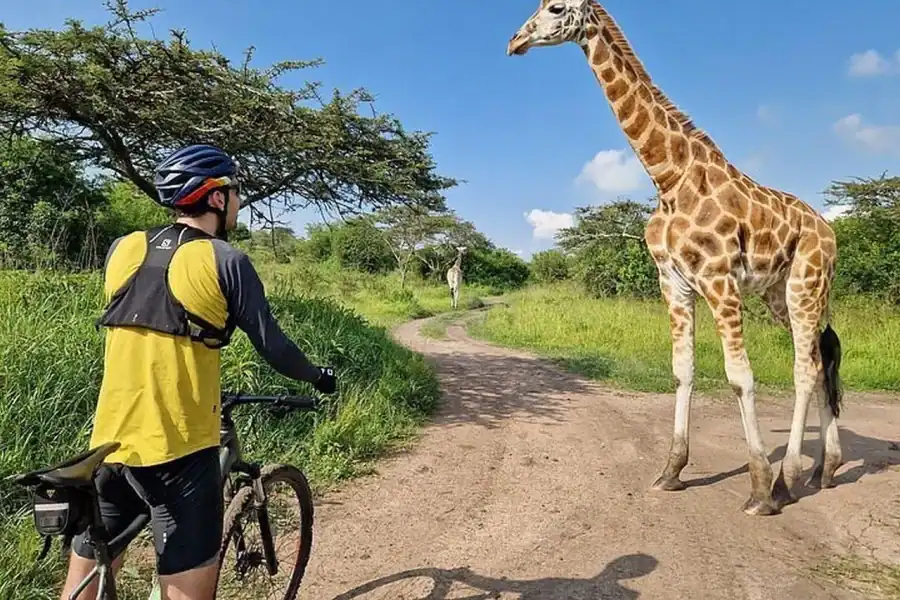 🕓Lake Mburo 2-Day Cycling Safari, Picnic and Bush Breakfast