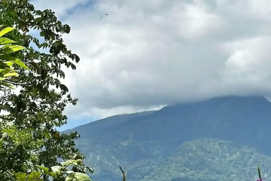 🕓Liberia: Guided Tour of the Rio Celeste, Turquoise Waterfall, and Rainforest