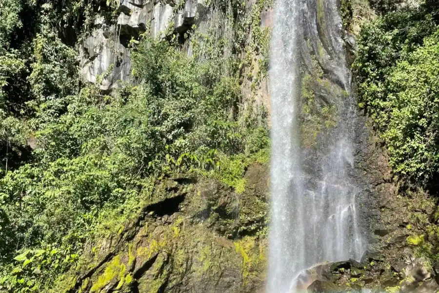 🕓Liberia: Rainforest and Waterfalls Horseriding Tour