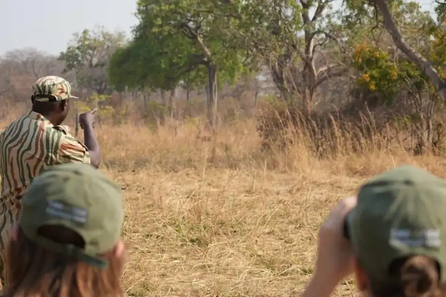 🕓Livingstone: Mosi-oa-Tunya Park Safari& Zambezi Cruise