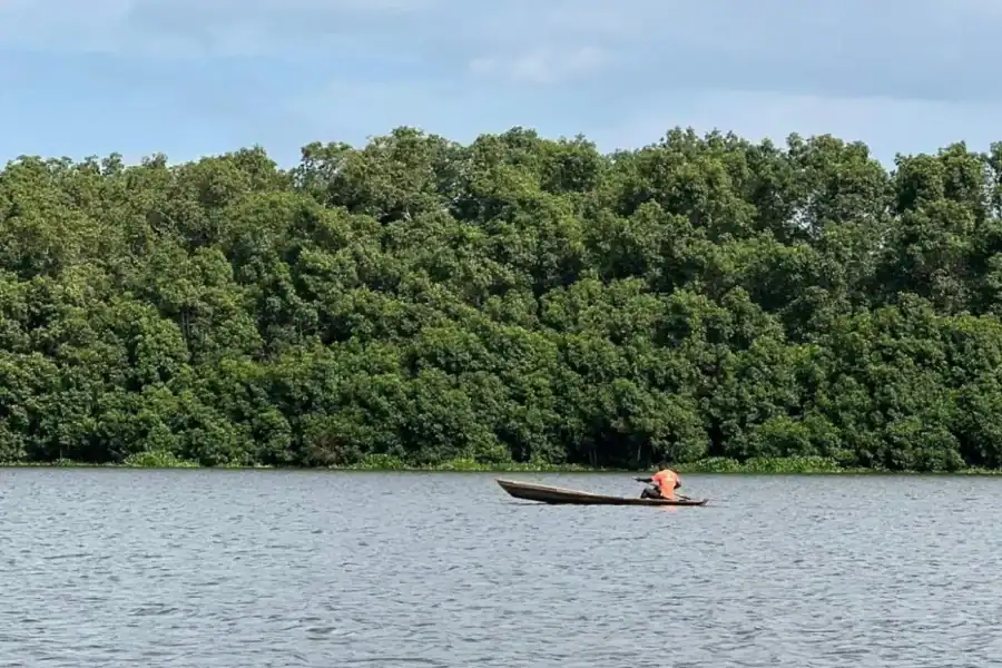 🕓Local Experience: Kwanza River Boat Trip