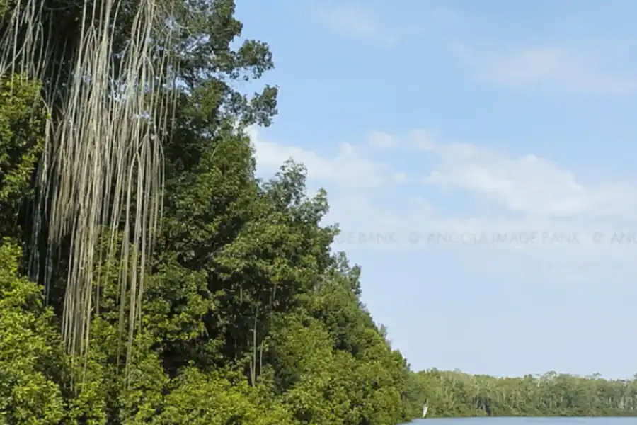 🕓Luanda: Kwanza River Boat Tour