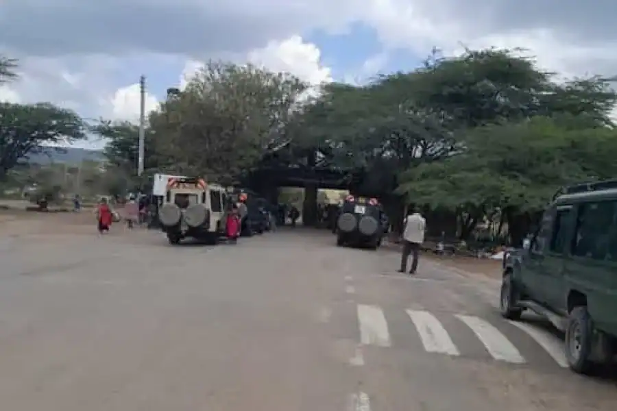 🚸Maasai Mara: 2-day Safari With Overnight Accommodation