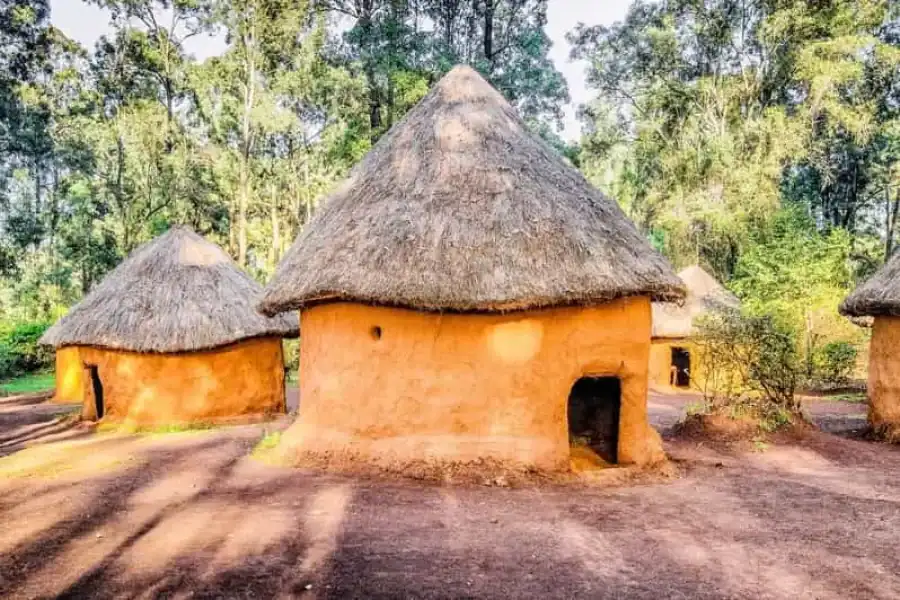 🚸Maasai Traditional Village Tour
