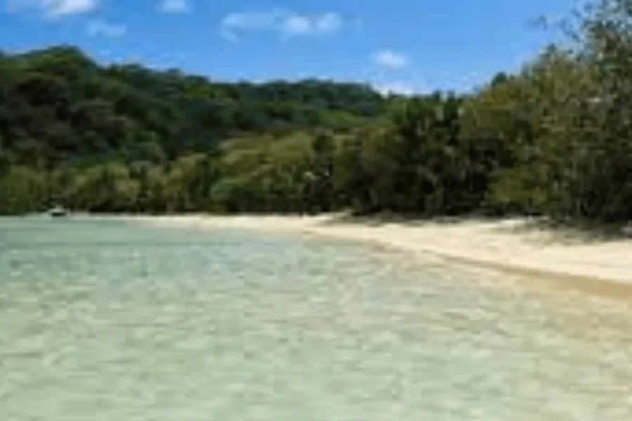 🕓Mahe Discovery Bus Tour