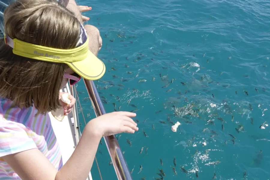 🕓Mahe: St.Anne Marine National Park Reef Safari with Lunch