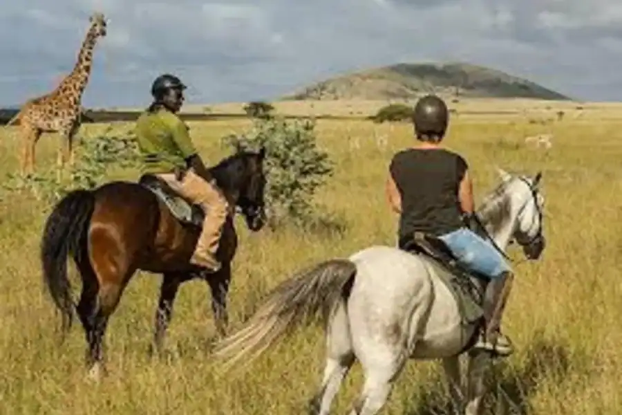 🕓Makueni: Chyulu Hills Scenic Tour& Horse Riding Experience