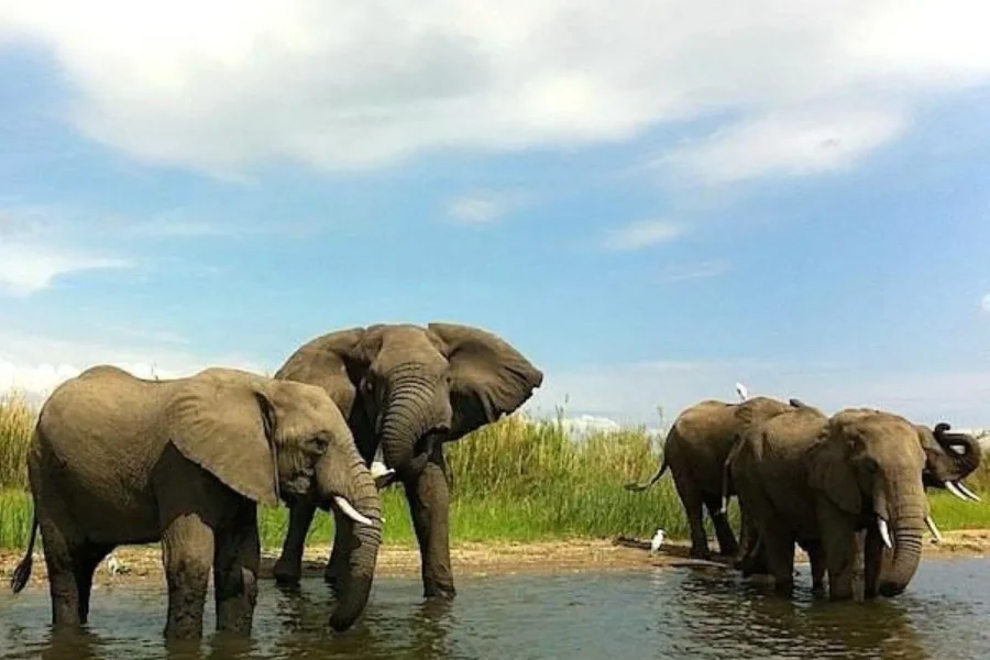 🕓Malawi: 7-Day Tour with Lake Malawi and Liwonde Park