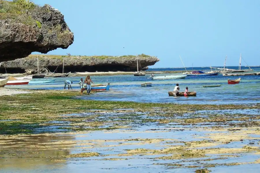 🕓Malindi Heritage Tour: Gedi Ruins& Vasco da Gama Pillar