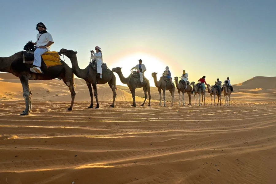 🕓Marrakech: 3D2N Merzouga, Camel, Sandboarding& Tent Options