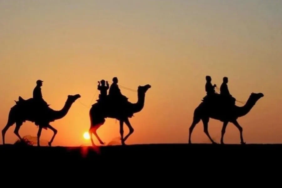 🕓Marrakech: Agafay Desert Camel Rides, Dinner and Fire Show