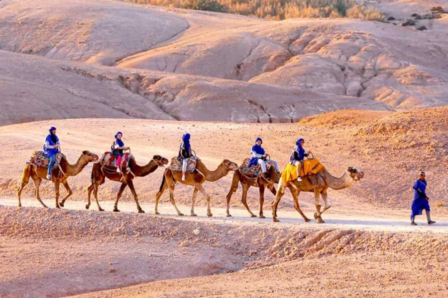 🕓Marrakech: Atlas Mountains Day Trip with Camel Ride, Imlil