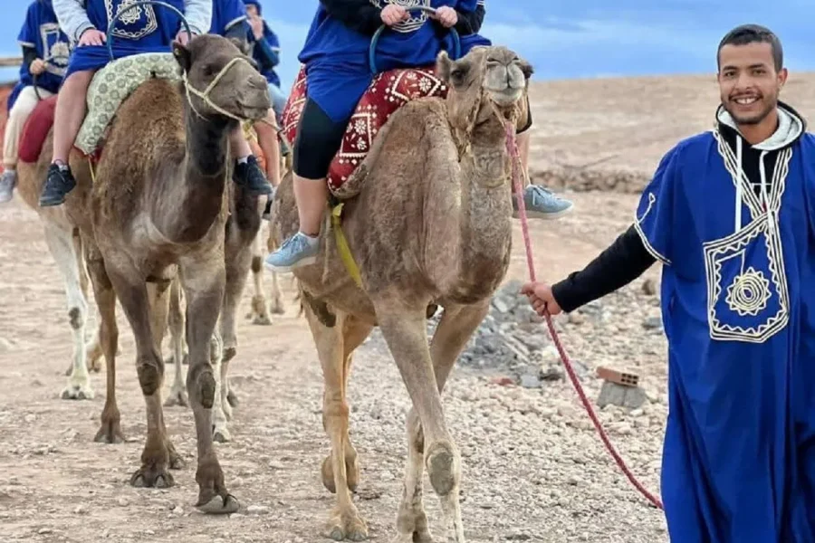 🕓Marrakech Camel Ride in the Palmeraie Palm Grove