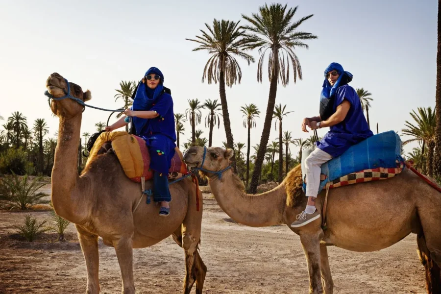 🕓Marrakech: Half-Day Camel Ride in Palm Grove