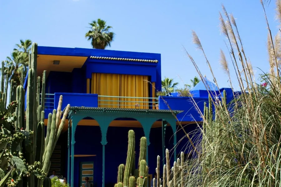 🕓Marrakech: Majorelle Garden, YSL, and Berber Museum Entry