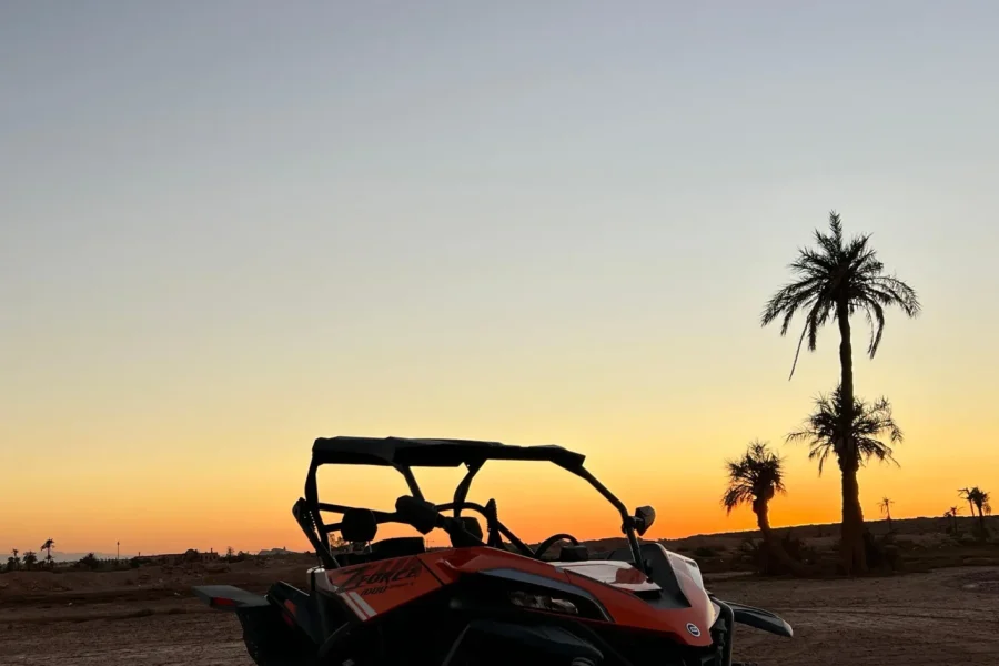 🕓Marrakech: Palm Grove Sunset Buggy Tour