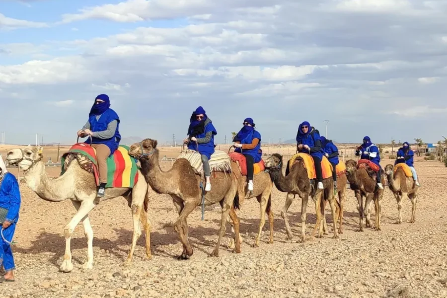 🕓Marrakech: Quad Bike in the Palmeraie& Camel Ride with Tea