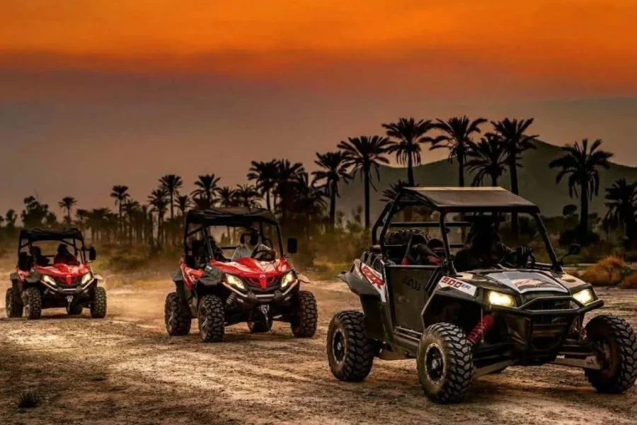 🕓Marrakech : Ride buggy in the desert of the palm grove