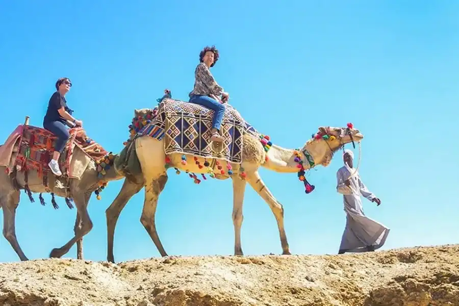 🕓Marsa Alam: Sea and Desert Camel Riding Tour