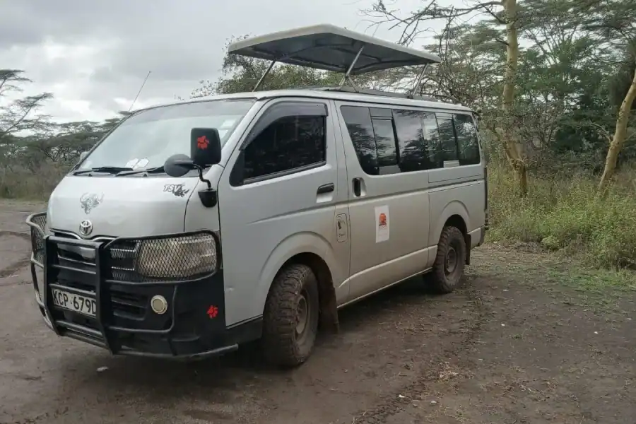 🕓Masai Mara from Nairobi Transfer