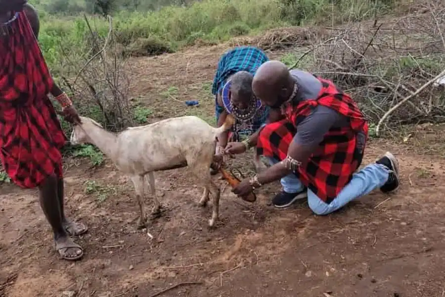 🚸Masai Village Experience (day Trip)
