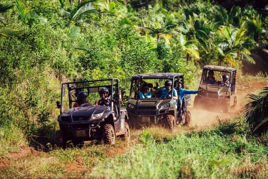 🕓Mauritius: Bel Ombre Nature Reserve Buggy Tour