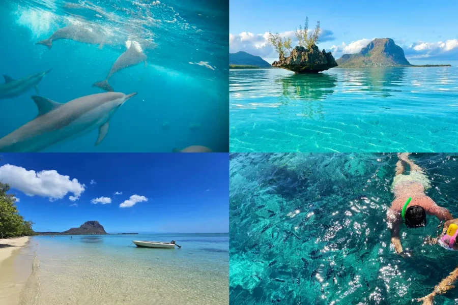 🕓Mauritius: Benitier Island – Swim Dolphins – Speedboat& BBQ