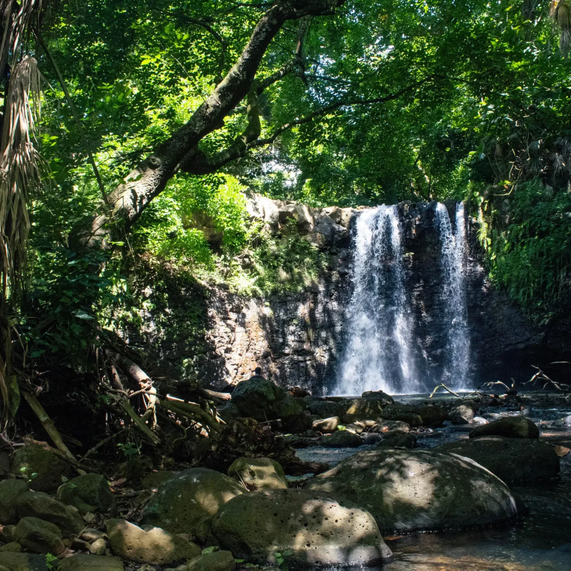 🕓Mauritius Gris Gris: Guided Coastal Walk& Waterfall Hike