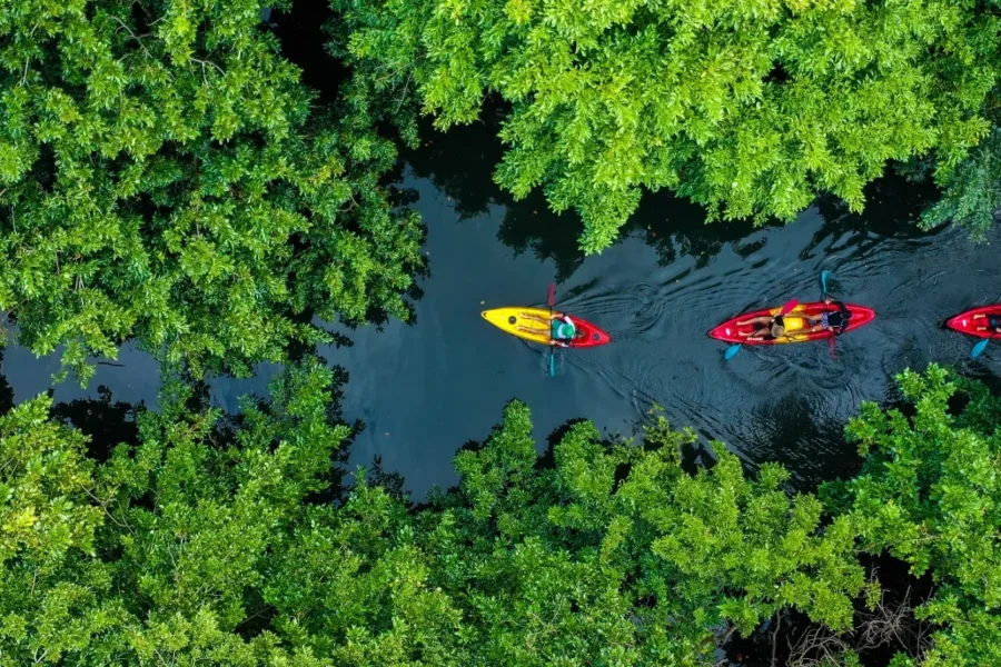🕓Mauritius: Guided Kayak Tour on Tamarin River