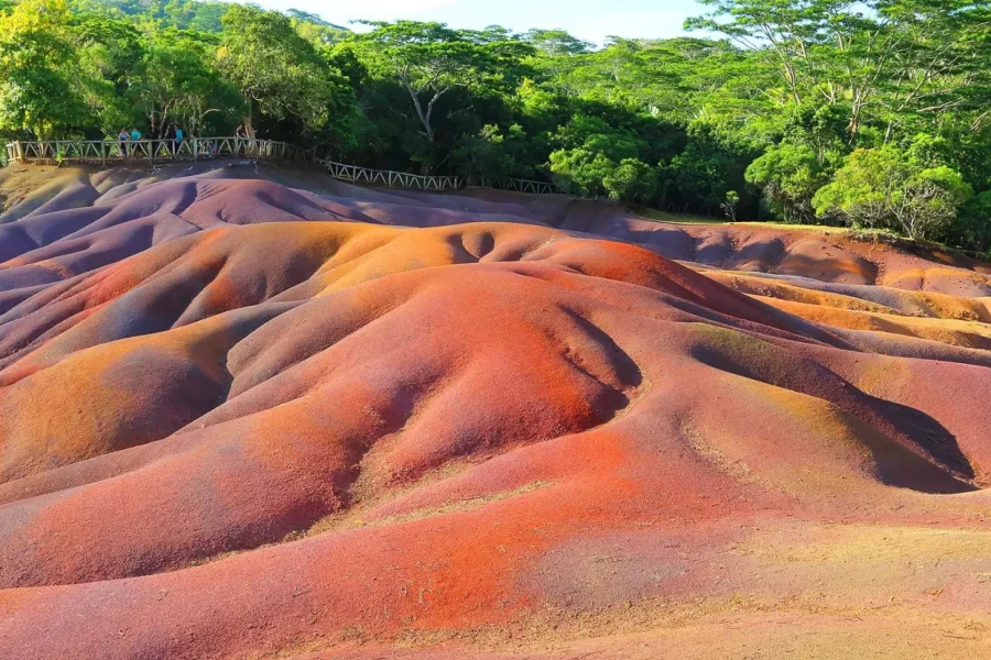 🕓Mauritius: Half-Day Tour with Airport Drop-Off Transfer