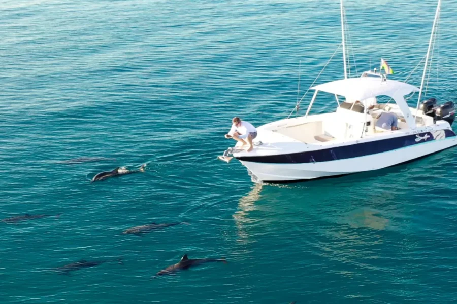 🕓Mauritius: Private Dolphin Watching Speedboat Cruise