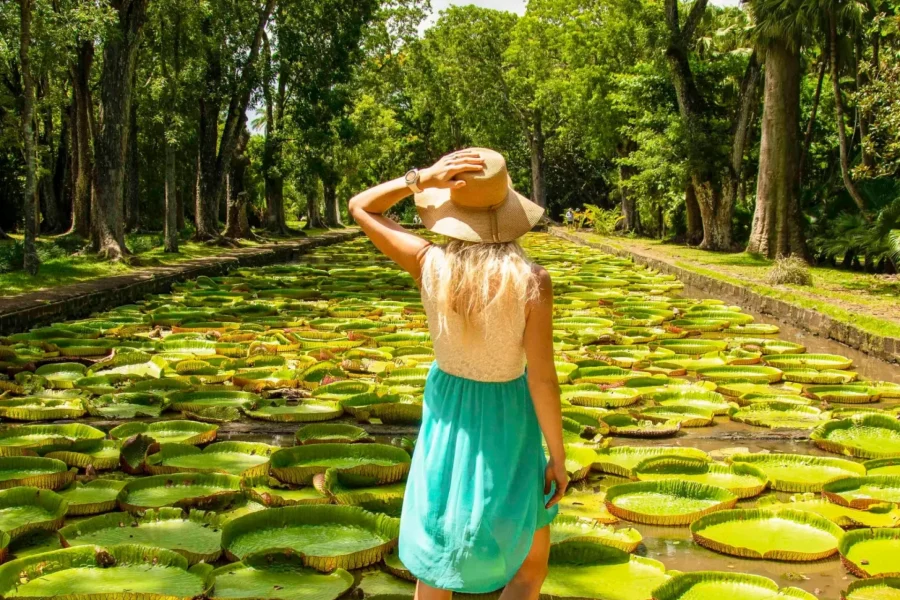 🕓Mauritius: Private Full-Day Iconic Instagram Spots