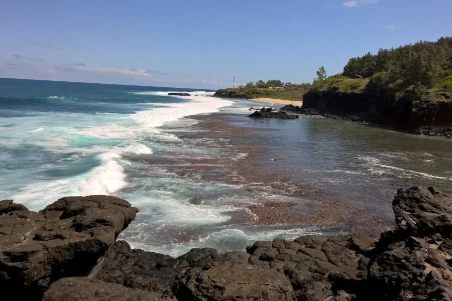 🕓Mauritius: Private South Side and Dolphin Adventure Tour
