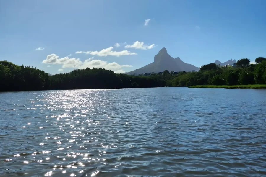 🕓Mauritius: River Guided Kayak Tour with Monkeys