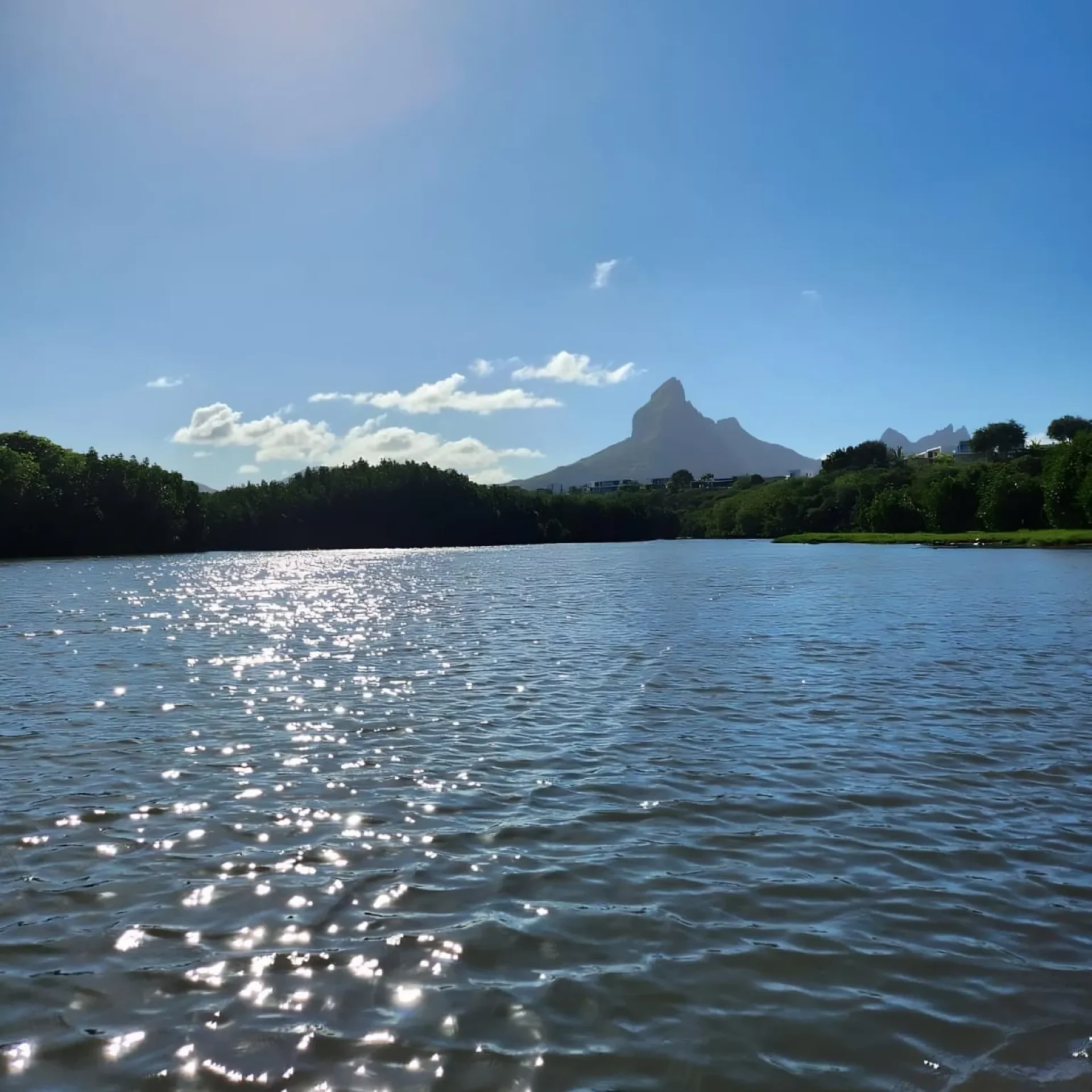 🕓Mauritius: River Guided Kayak Tour with Monkeys