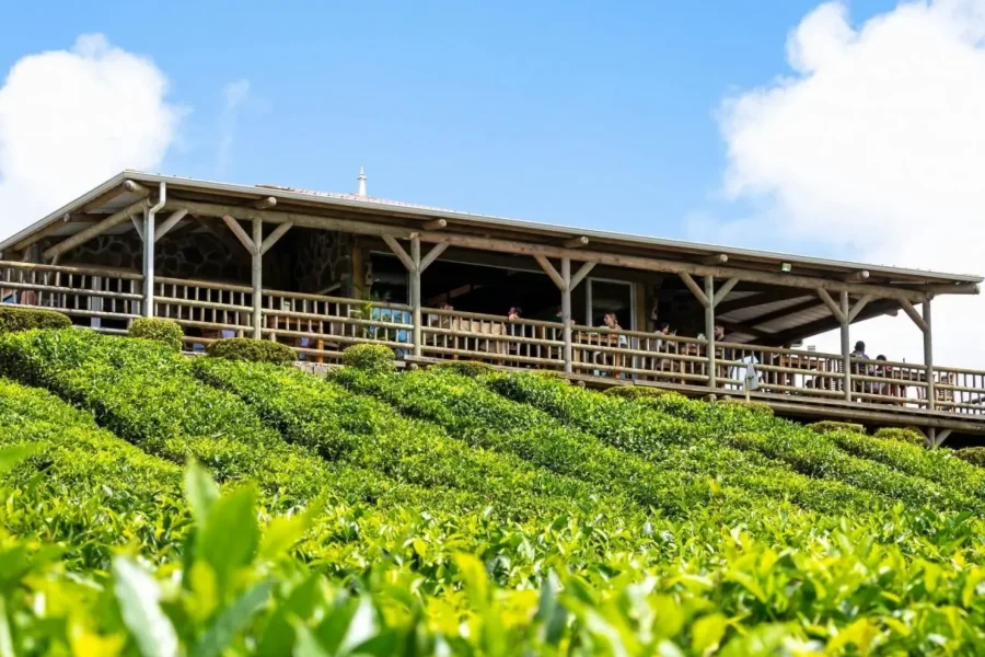 🕓Mauritius Tea Plantations& Colonial Estates Tour with Lunch