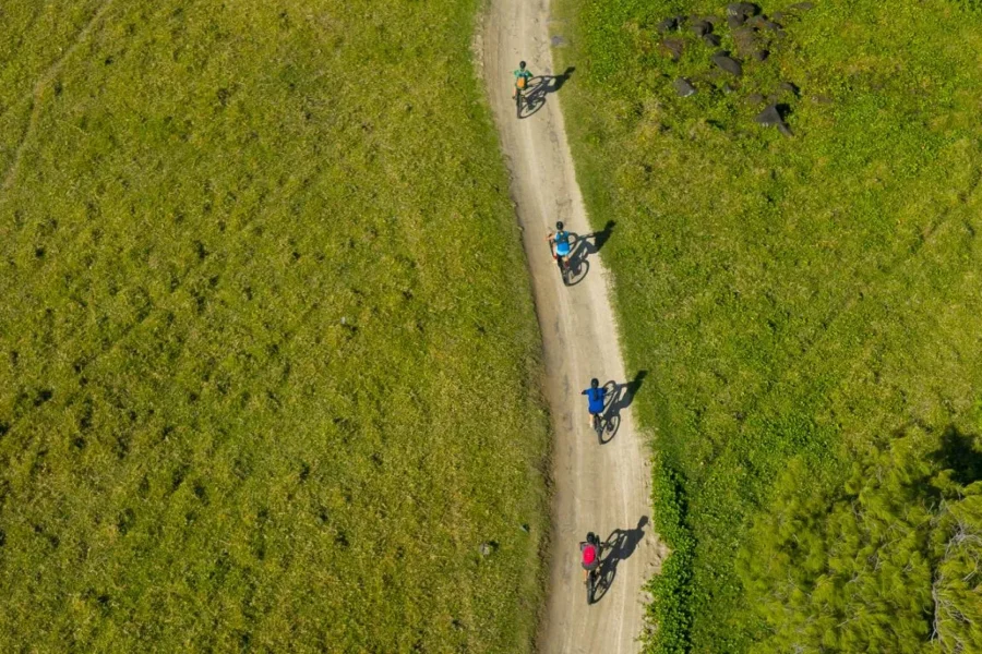 🕓Mauritius: Wild South E-Bike Adventure
