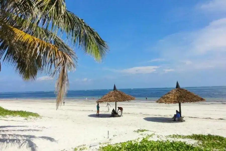 🕓Mombasa: Fort Jesus, Old Town, and Haller Park Tour