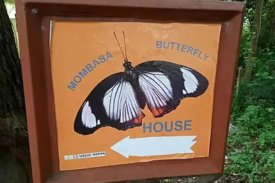 🚸Mombasa :fort Jesus,butterfly House And Old Town Guided Tour