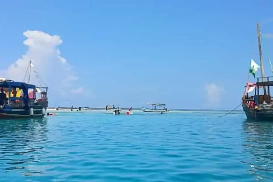 🚸Mombasa: Wasini Dolphin Tour