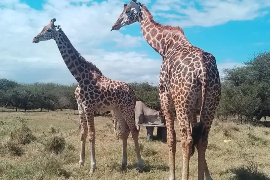 🕓Mombasa: Wildlife Sanctuary Guided Nature Trail Tour