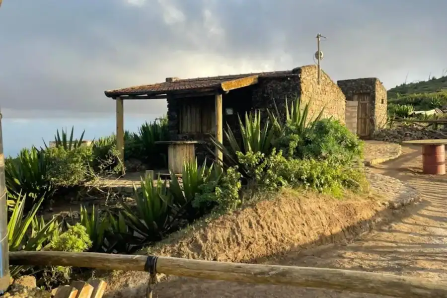 🕓Monte Verde by Car& Tea House – São Vicente’s Highest Point