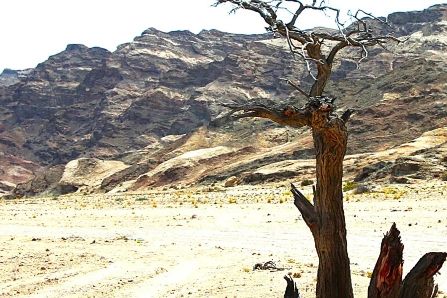 🕓Moonlandscape Goanikontes 4×4 Excursion with Owner ± 4 hours
