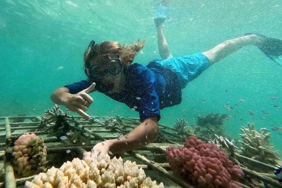 🕓Morning at sea: dolphins, Mauritian breakfast, natural aquarium, Cristal Rock
