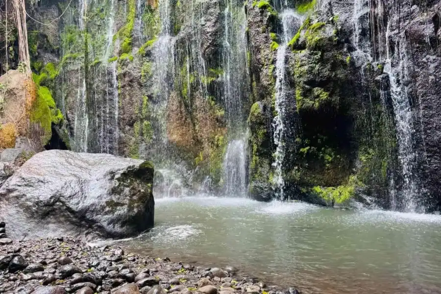 🕓Moshi: Mailisita Village Waterfall Tour with Pickup