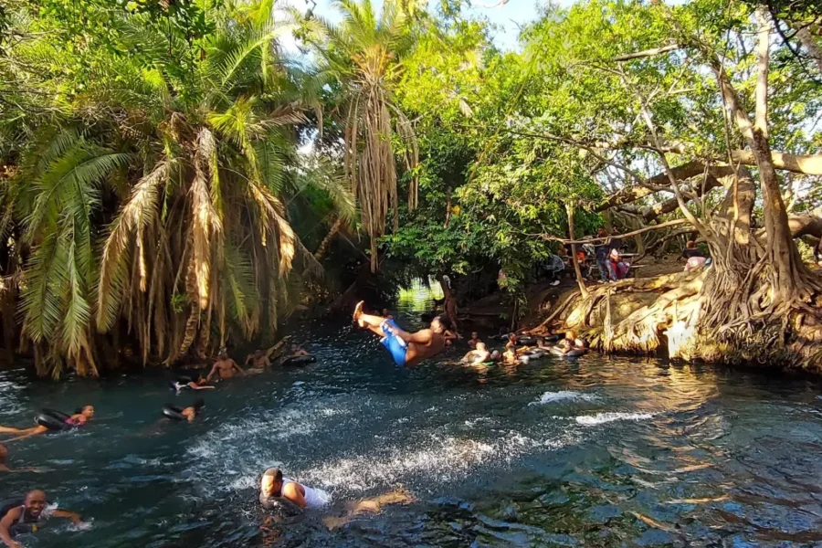 🕓Moshi: Materuni Waterfall, Coffee Tour, Kikuletwa Hot Spring