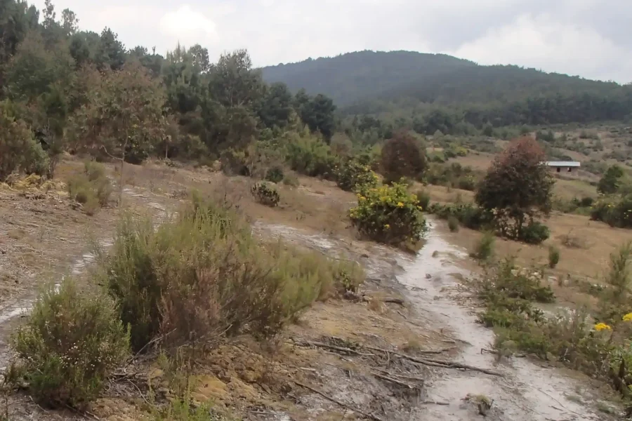 🚶🏽 Hiking the Mount Heha Trail (Burundi)