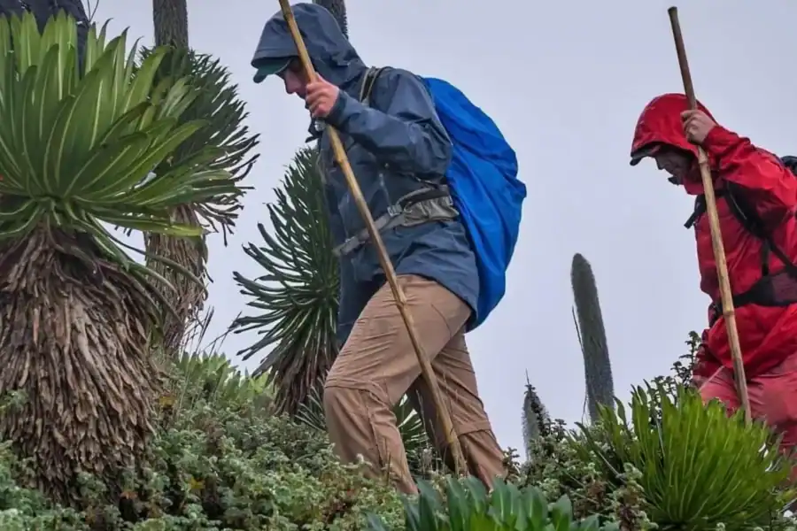 🕓Mount Muhabura Hike in Volcanoes National Park