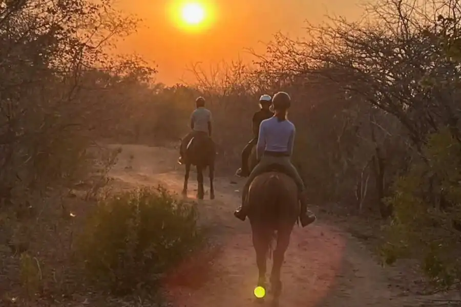 🕓Mpisi Village Horseback Safari: Ride to a Living Community